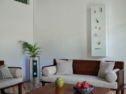 Emerald Hill Road (D9), Apartment #584134191